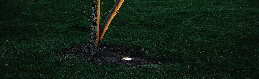 Éclairage jardin Éclairage jardin